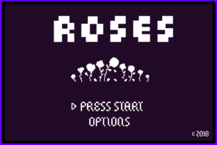 8 Bit Roses: A Font That Feels Like Nostalgia in Every Letter