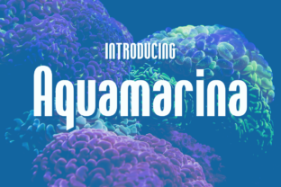 Aquamarina: A Font That Speaks with Grace