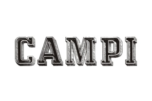 Campi: A Bold Display Font for Modern Web Design
