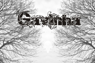 Gavinha: A Versatile Display Font for Creative Crafters