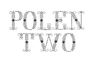 Polen Two for Web Design: A Modern Display Font in Action