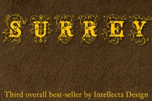 Surrey Font for Vintage-Inspired Branding