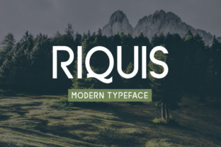 Testing Riquis for a Real Branding Project