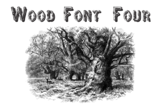 Wood Four: A Font for Nature-Inspired Branding